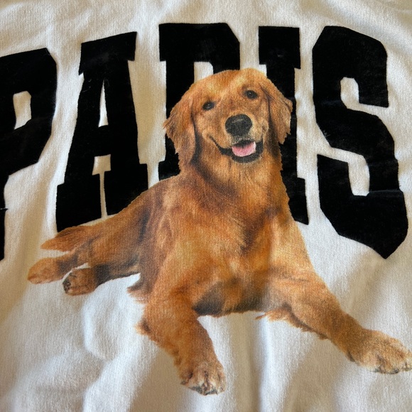 Zara kids Golden Retriever Paris Hoodie size 9 - Picture 3 of 13